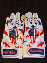 Softball Exchange Freedom batting gloves